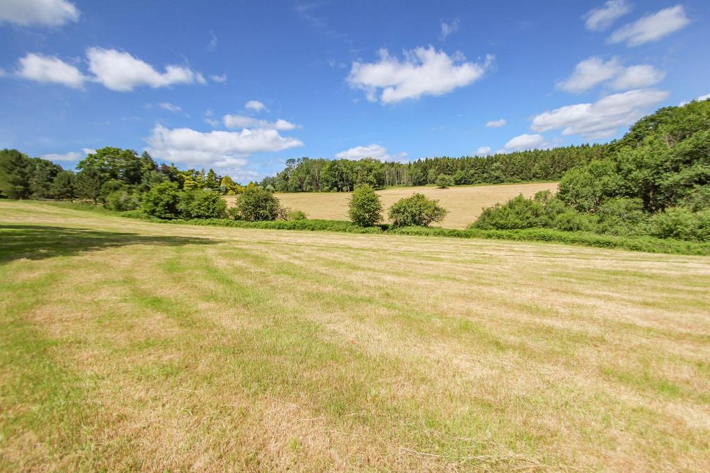 Fields and paddocks