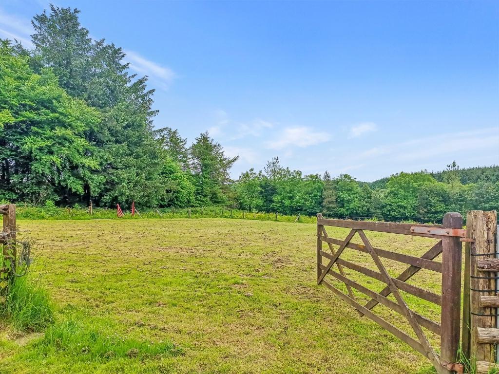 Small Paddock Near Bungalow