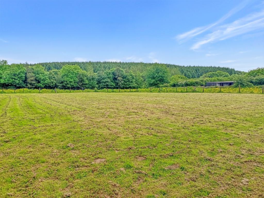 View Of Small Paddock