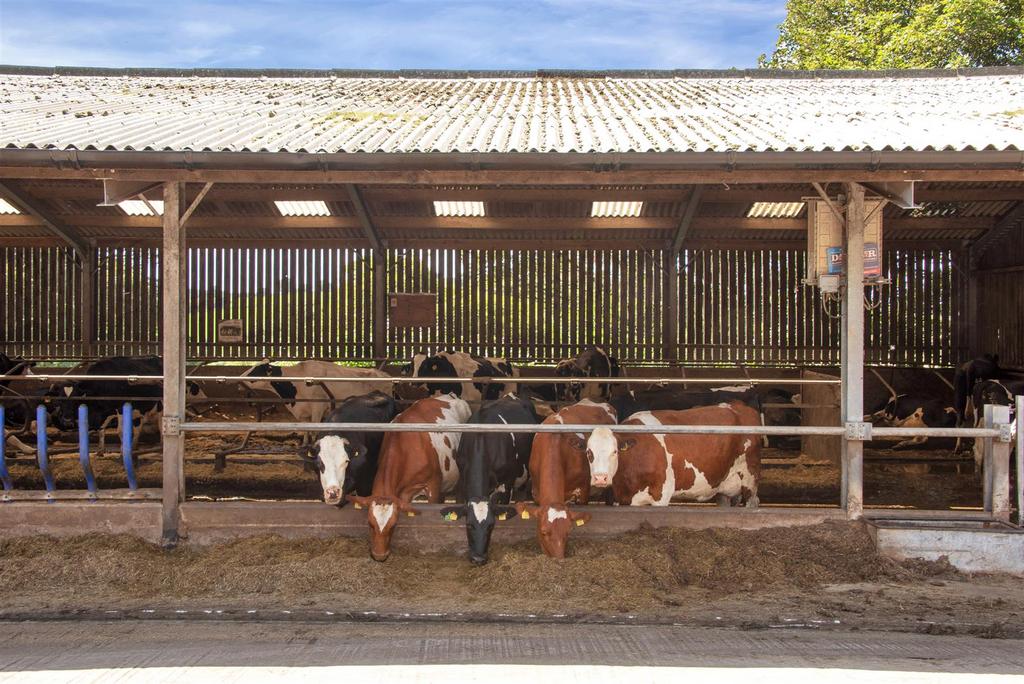 Longshaw Farm PH 58.jpg