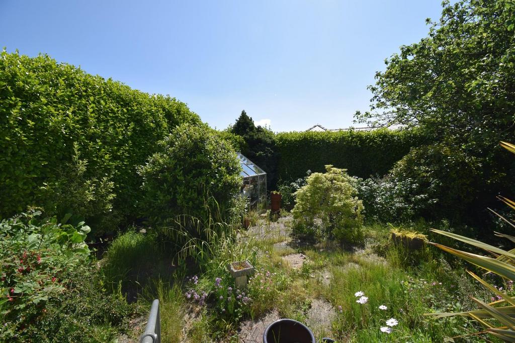 Dsc 6661.jpg