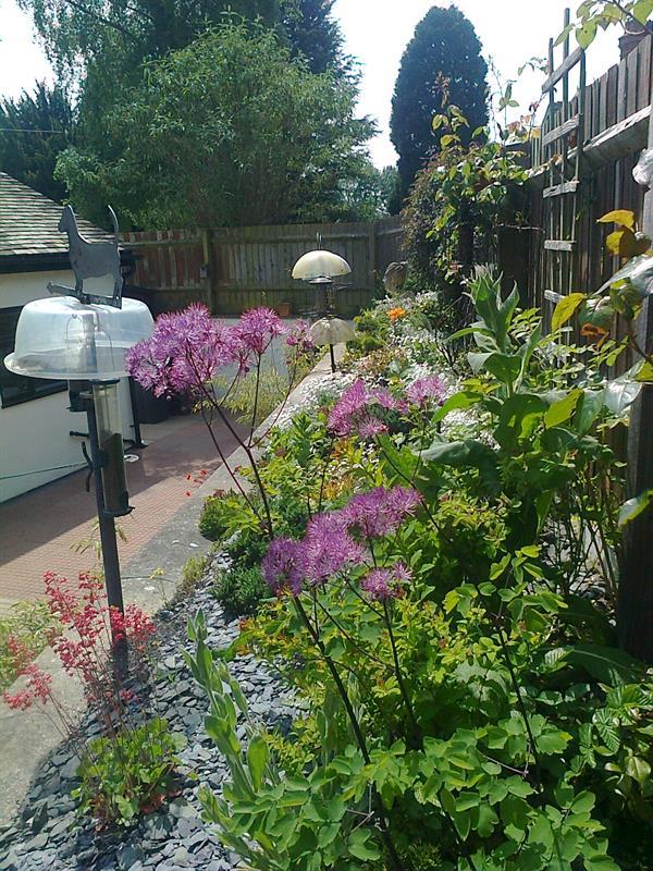 Photo 26