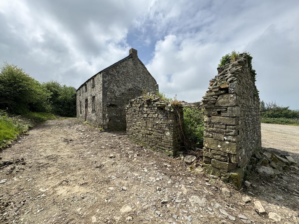 The house