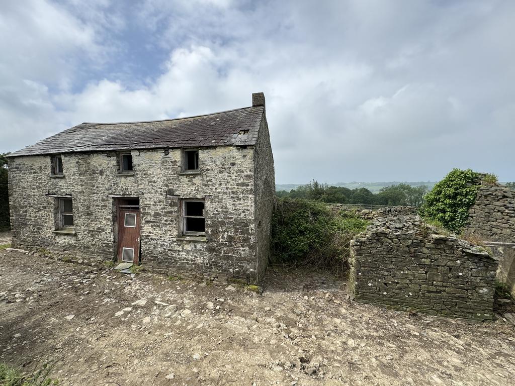 The house