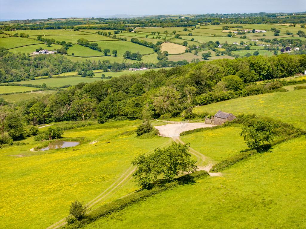 The land