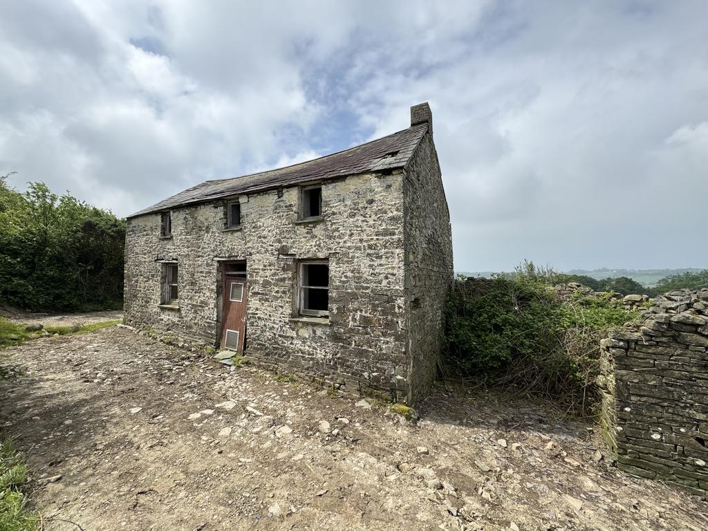 The house