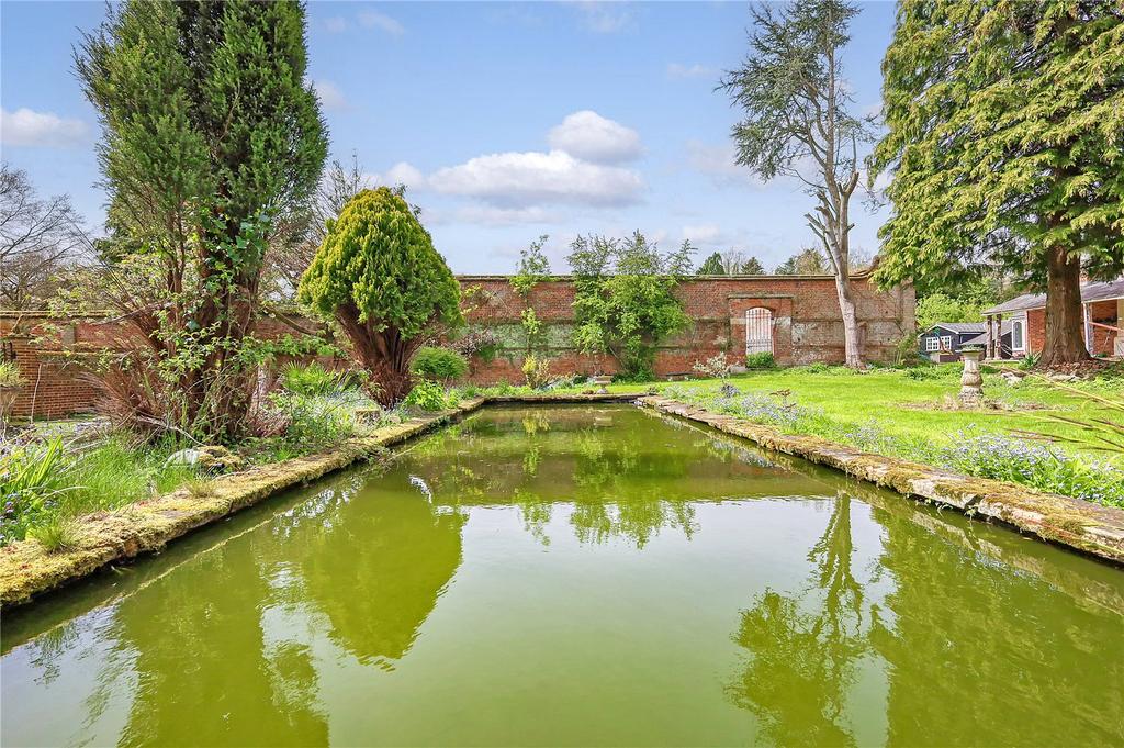 Pond