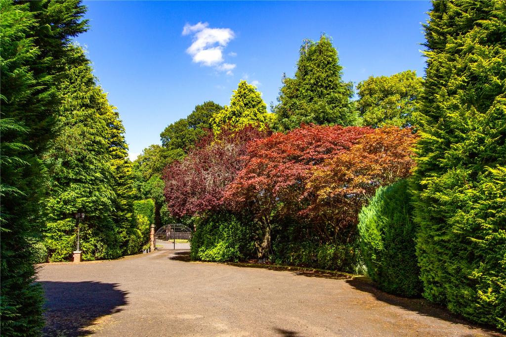 Driveway