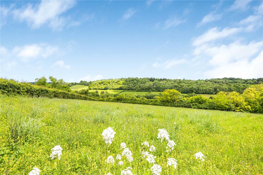 Meadow