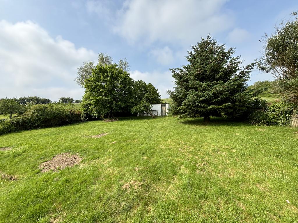 Rear garden (third image)