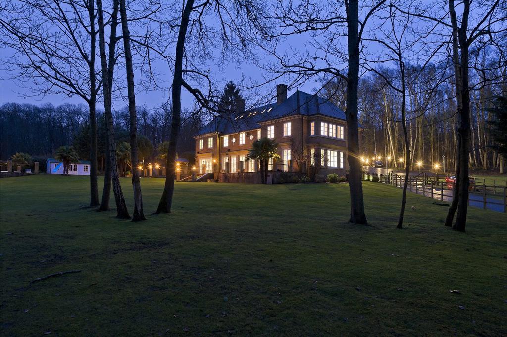 Rear Aspect