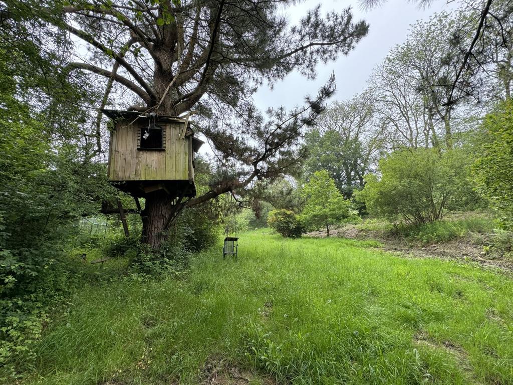 Garden Area