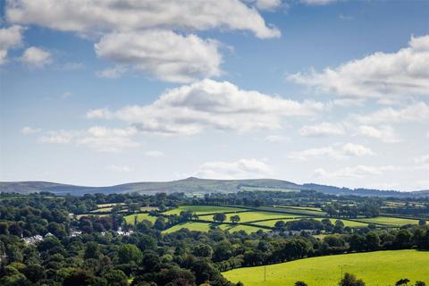 undefined, The Tors, Tavistock, Devon