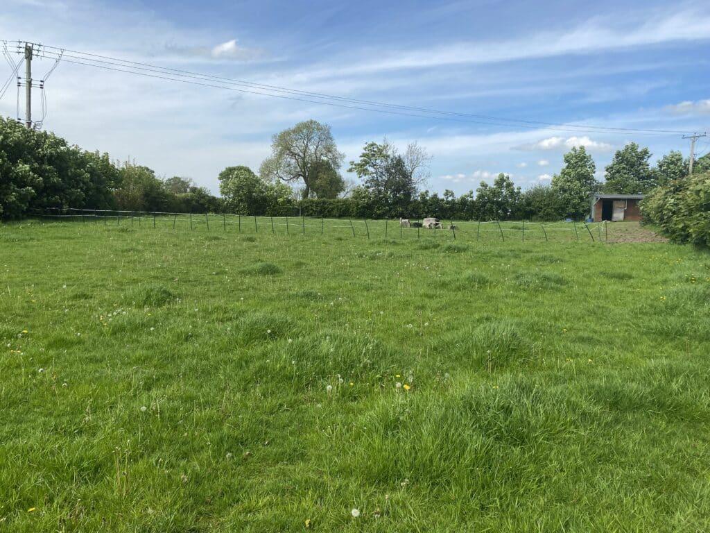 Pony Paddock & Stable with Tack Room... Farm land for sale £40,000