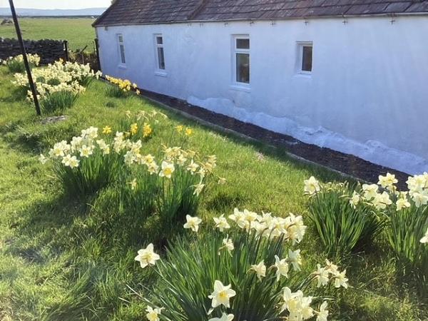 Rear of the property