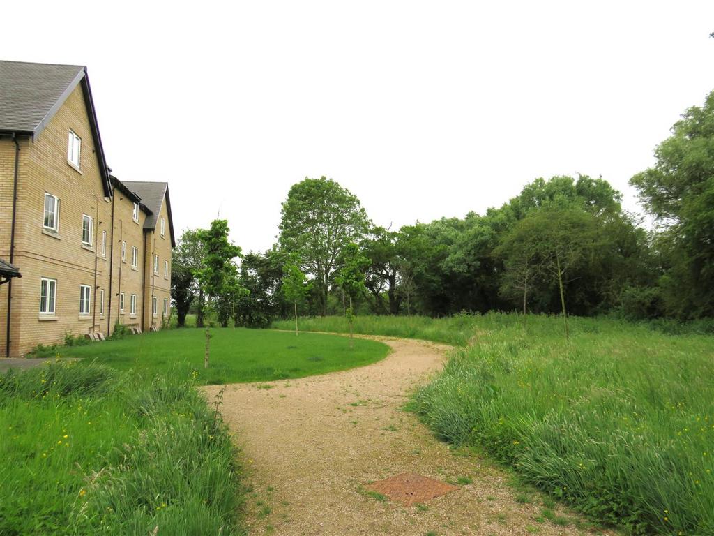 Outside Area