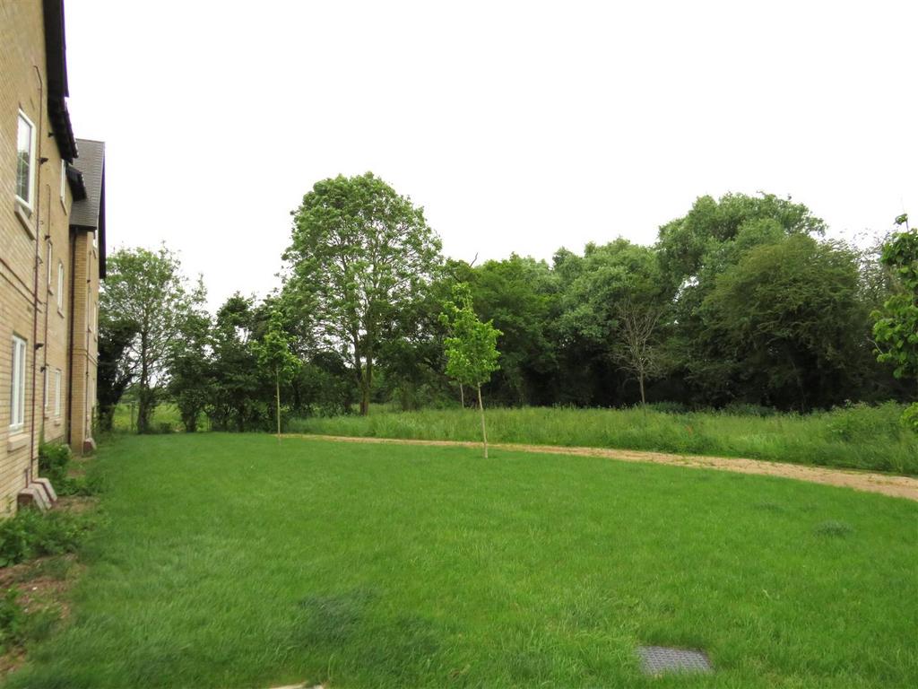 Outside Area