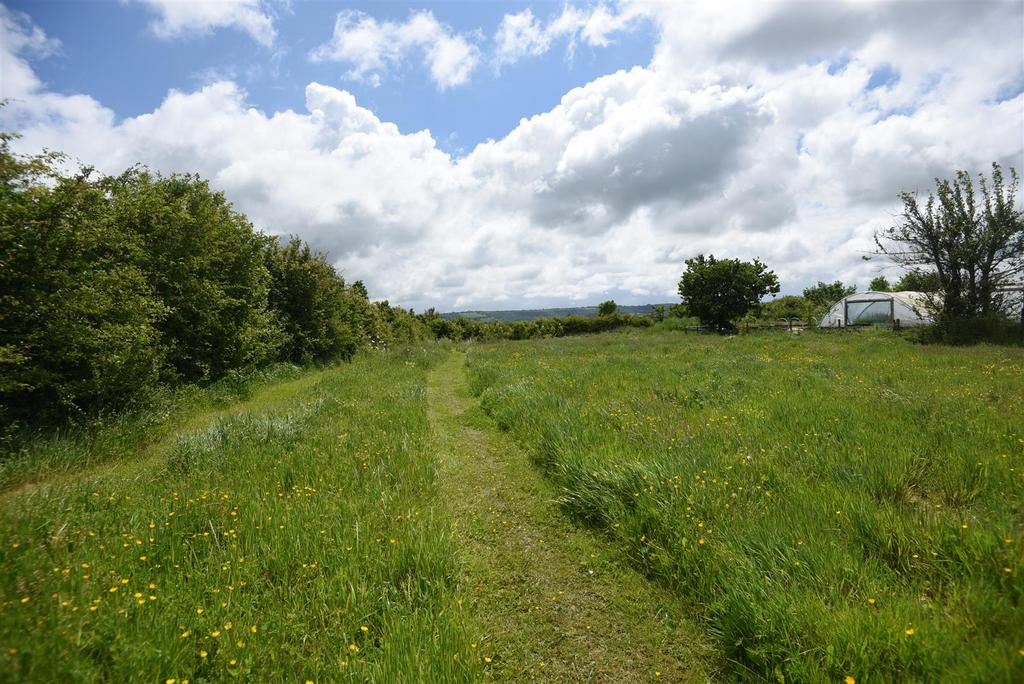 Top of Paddock