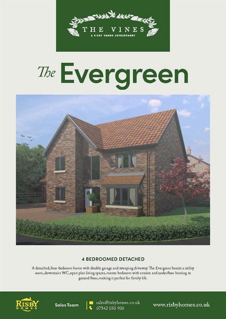 K - The Evergreen Page1.jpg