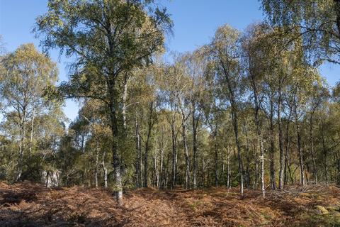 Land for sale, John Trower Wood, Beauly, Inverness-Shire, IV4