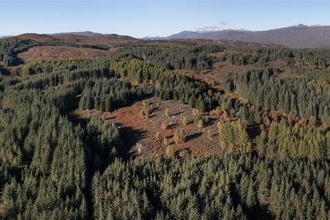 Land for sale, John Trower Wood, Beauly, Inverness-Shire, IV4