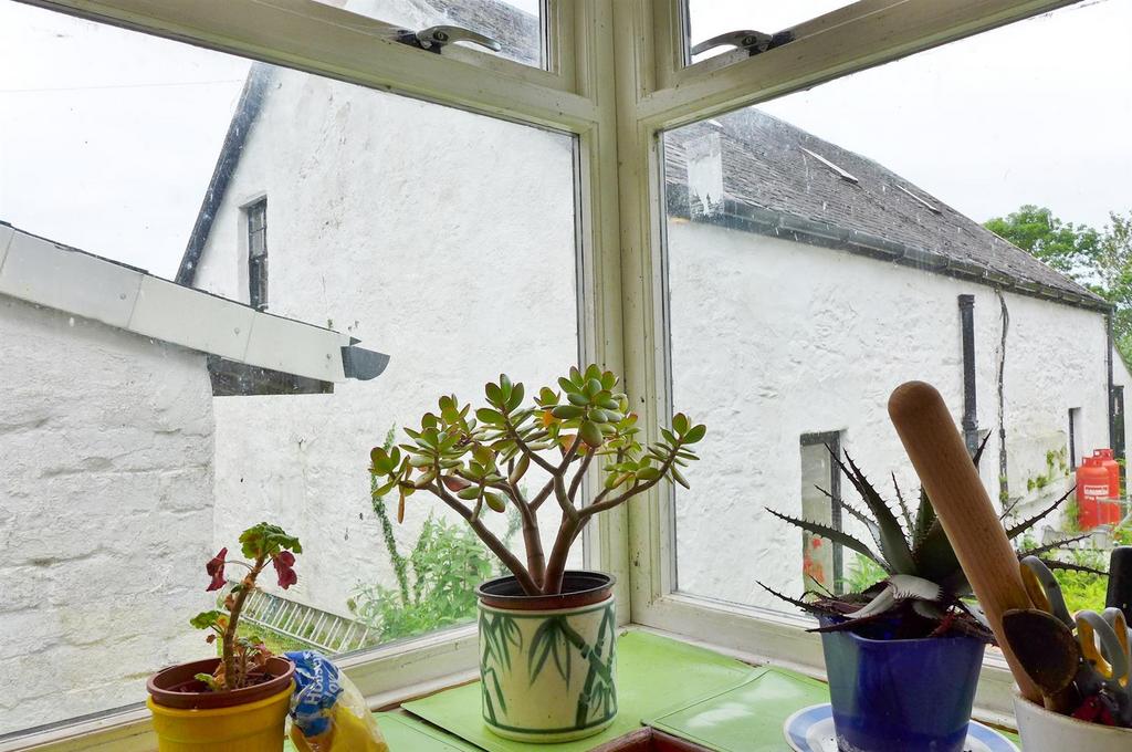 Window