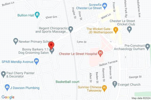 Google Maps Image