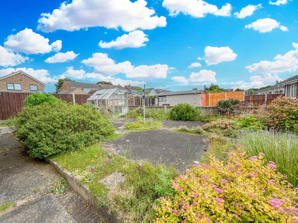 Back Garden