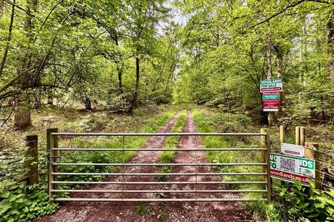 Land for sale, Holly Blue Wood at Long Copse & Rag Copse, Bourne Park Estate, Hurstbourne Tarrant, Hampshire, SP11 6JQ