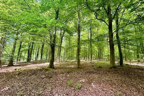 Land for sale, Holly Blue Wood at Long Copse & Rag Copse, Bourne Park Estate, Hurstbourne Tarrant, Hampshire, SP11 6JQ