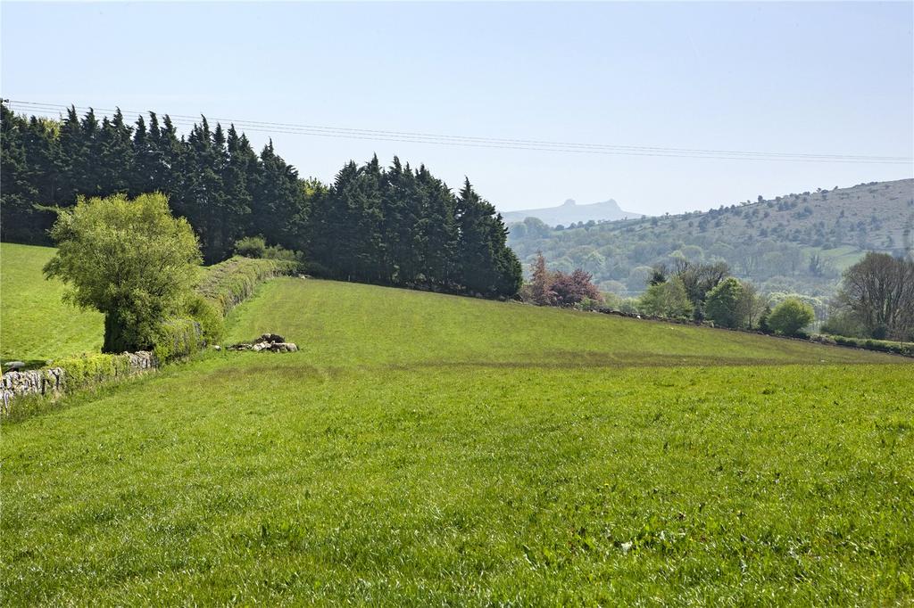 Picture No. 14