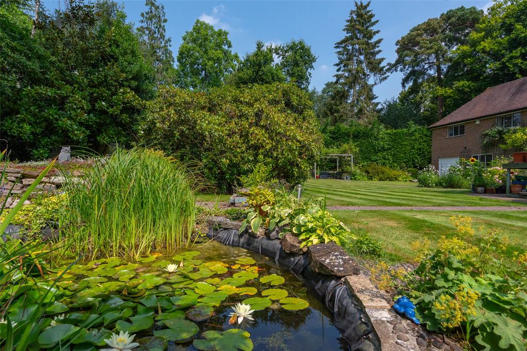 Pond