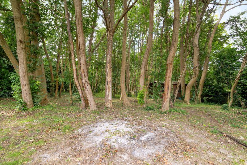 Woodland