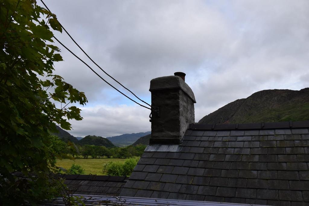 View from Rear Steps.JPG