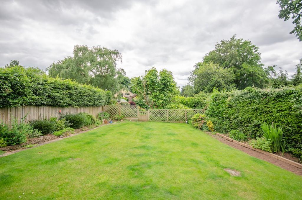 Rear garden.jpg