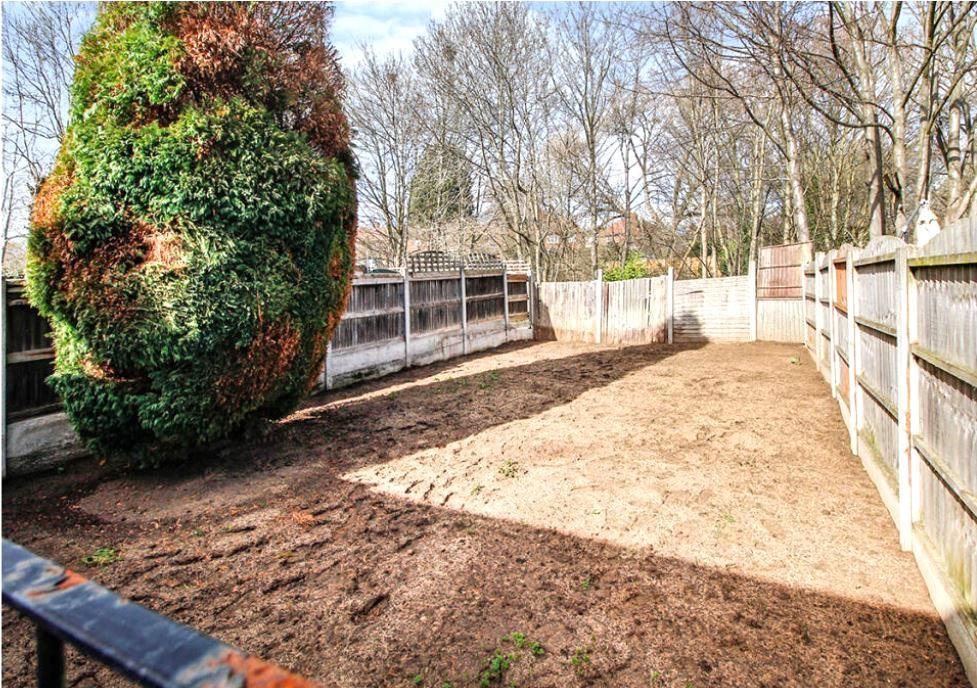 Garden.JPG