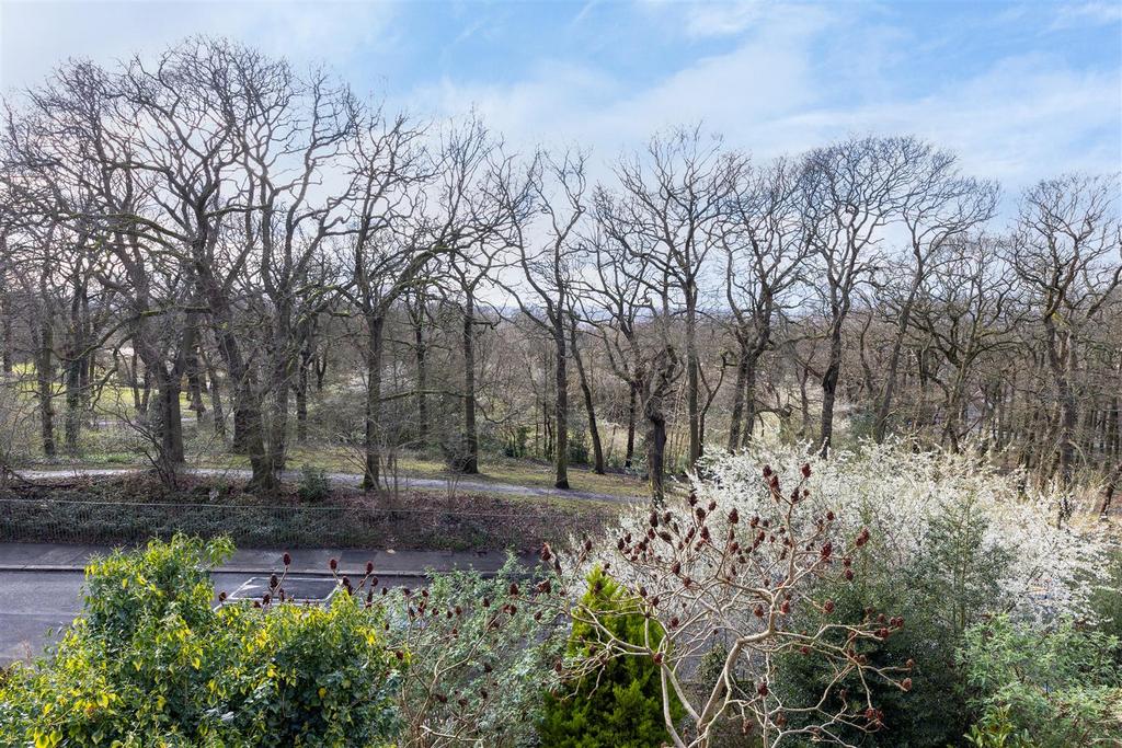 Wharncliffe Road outlook.jpg