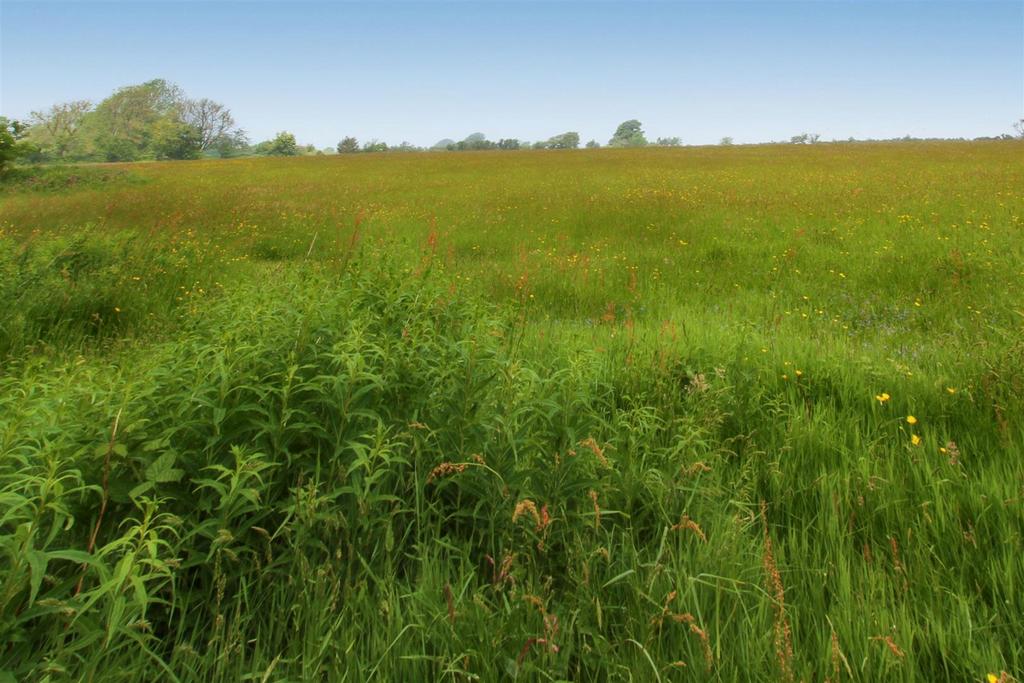 Field