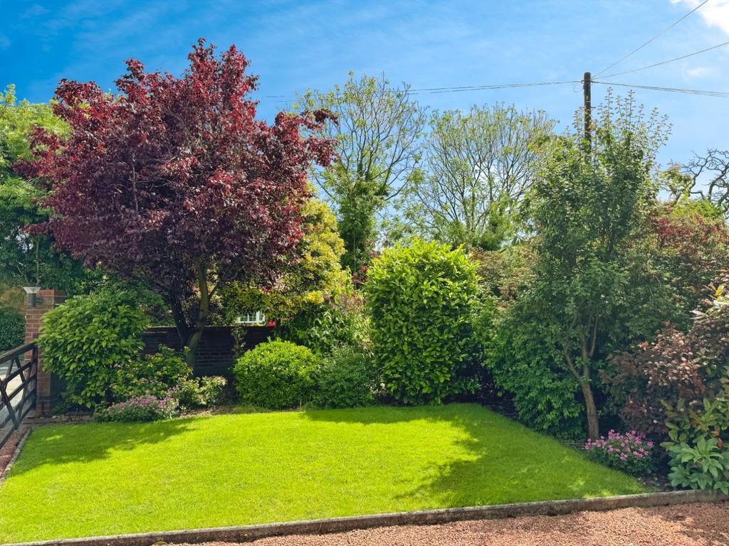 E6082910-IMG 0635.jpeg