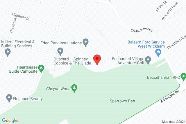 Google Maps Image