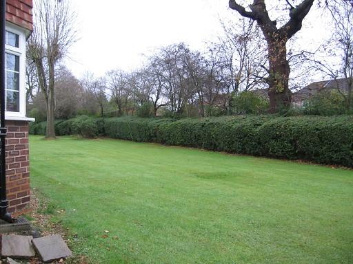 Communal Gardens