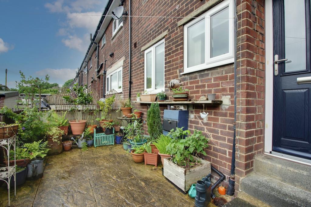 Back Garden
