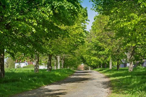 Land for sale, The Blyford Estate, Nr Southwold