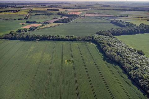 Land for sale, Conington Fen, Conington, Peterborough, Cambridgeshire, PE28