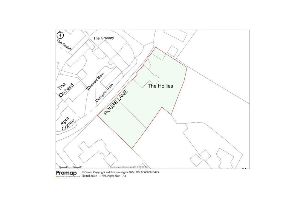 Site Plan