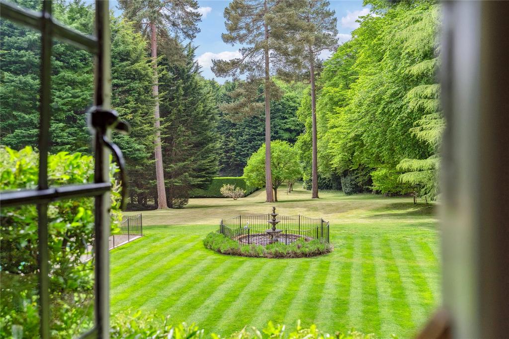 View Of Garden