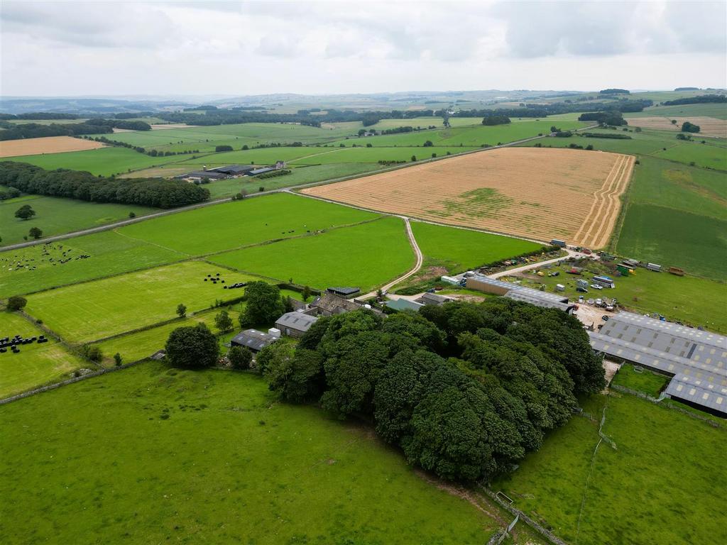 Dji 0262.jpg
