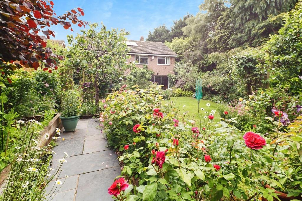 Garden 2.jpg