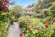 Garden 2.jpg