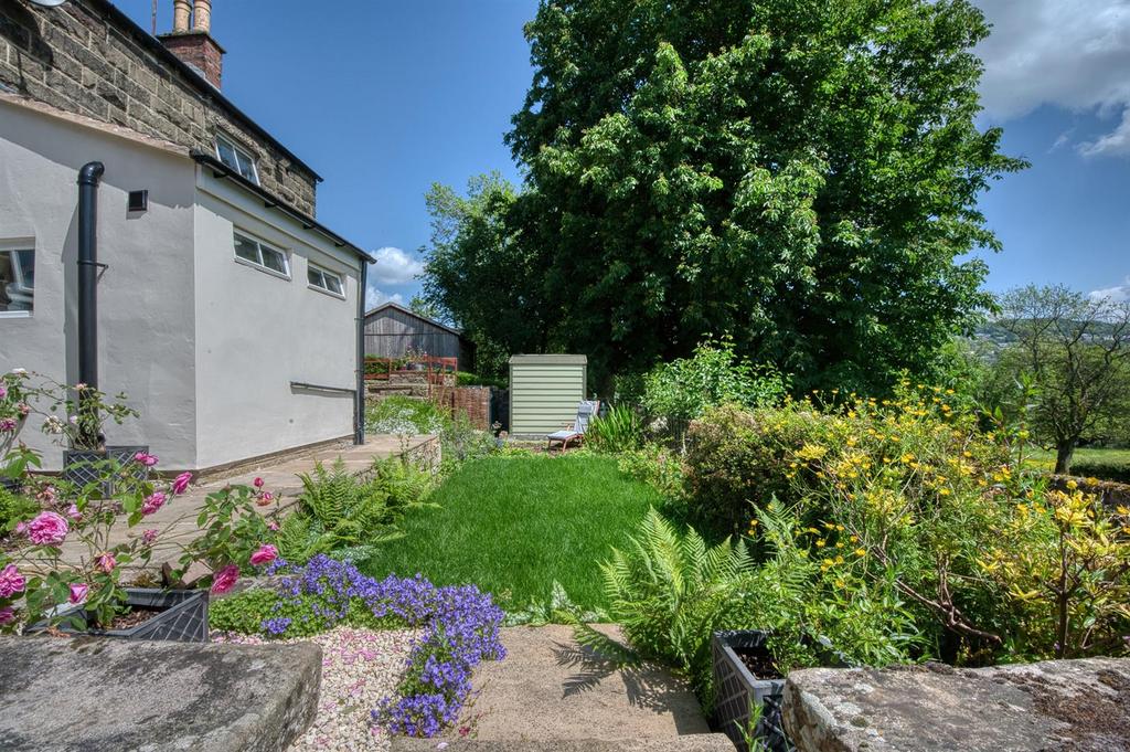 Garden - lawn and shed.jpg